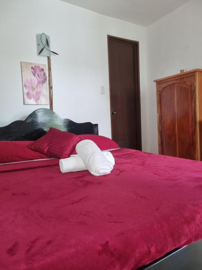 Southpoint Hostel Moalboal Zewnętrze zdjęcie